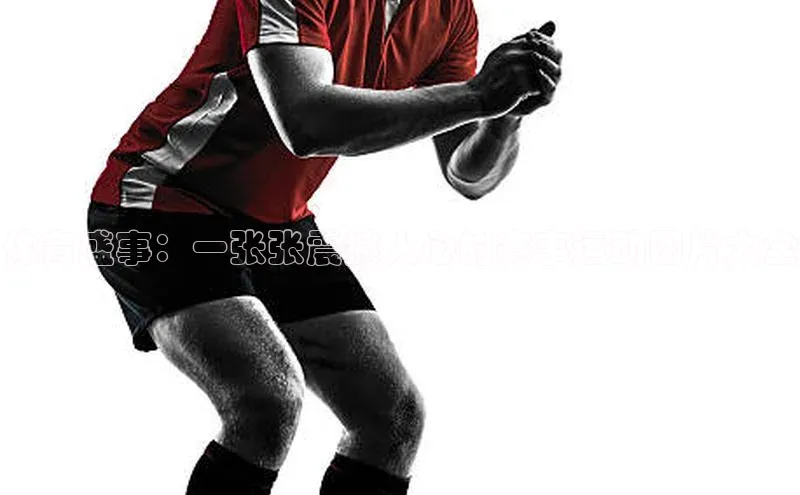 门徒平台登录地址